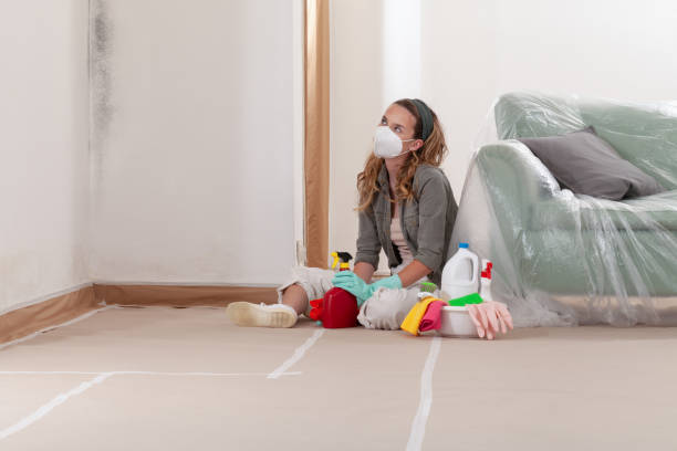Reliable Mold Remediation contractor in Linden, TN by WQB Mold Removal
